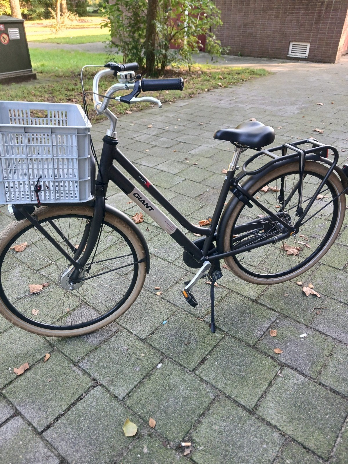 Giant Dames Oma Fiets, Ophalen, Terugtraprem, Giant, Zo goed als nieuw