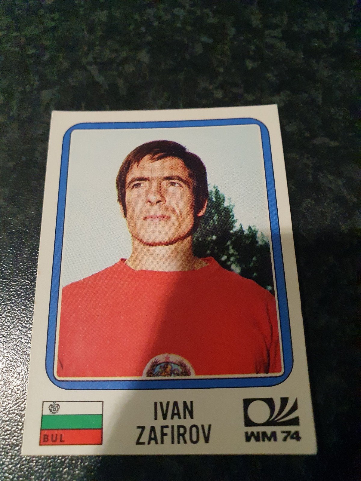 Panini Munchen 74 - Nmr 253, Ophalen of Verzenden, Zo goed als nieuw, Plaatje