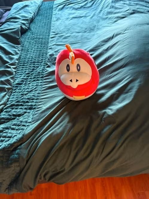 pokkemon knuffel nieuw, Ophalen of Verzenden, Nieuw, Overige typen