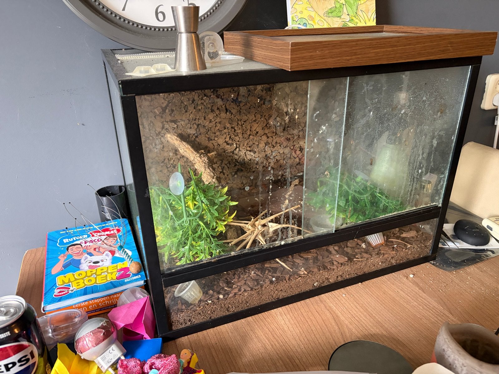 Te koop terrarium, Dieren en Toebehoren, Ophalen, Gebruikt