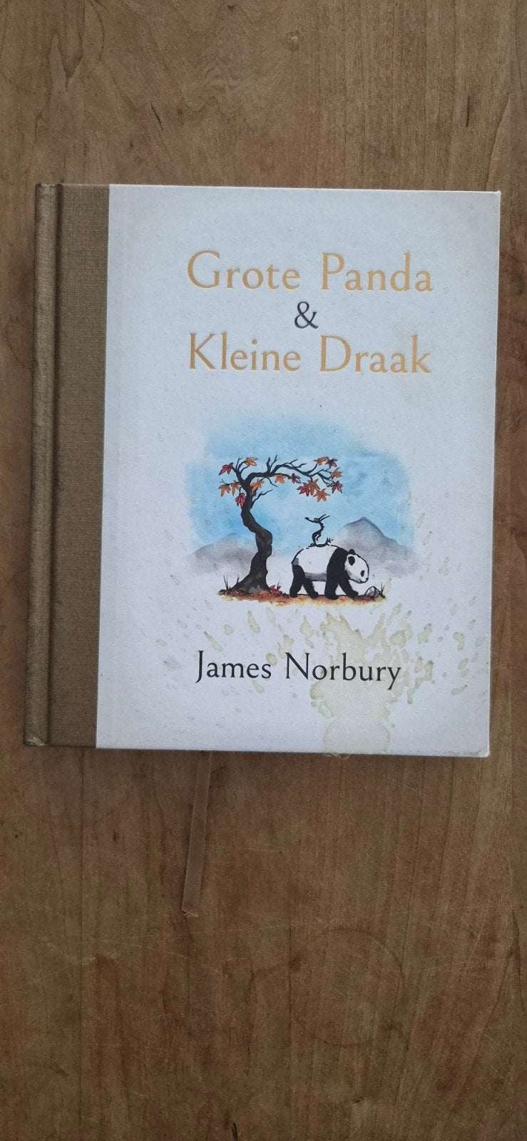 Grote Panda & Kleine Draak - James Norbury, Boeken, Ophalen of Verzenden, Gelezen, James Norbury, Europa overig