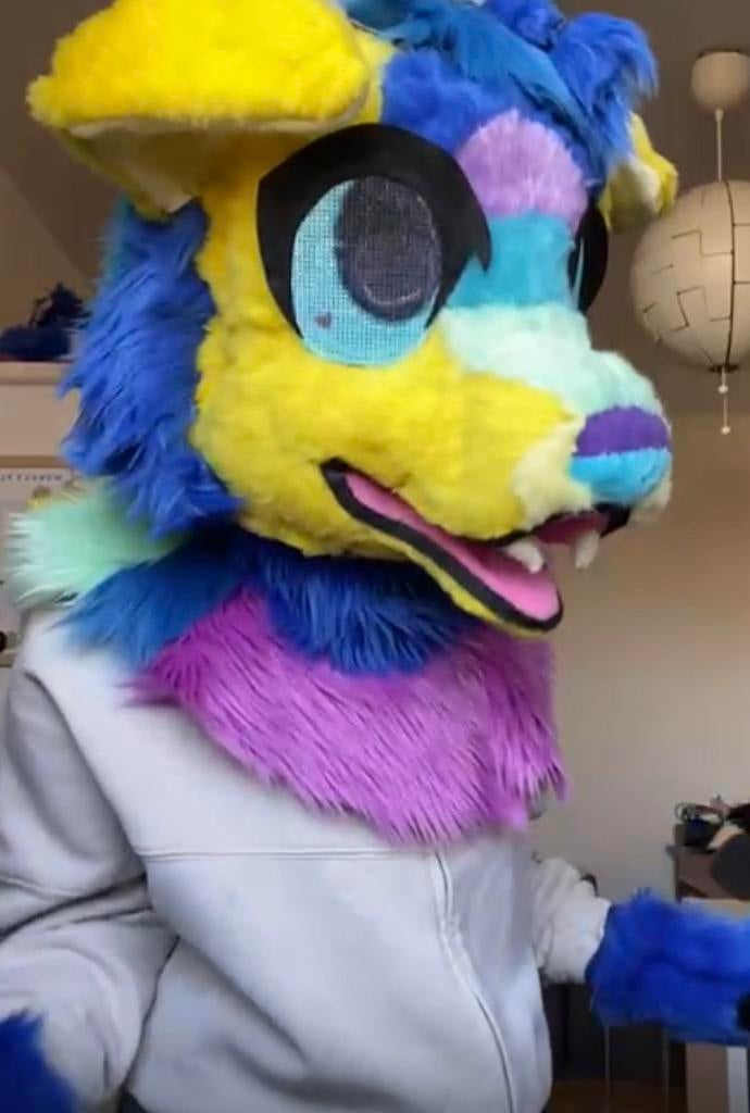Fursuit for trade!, Ophalen of Verzenden, Zo goed als nieuw