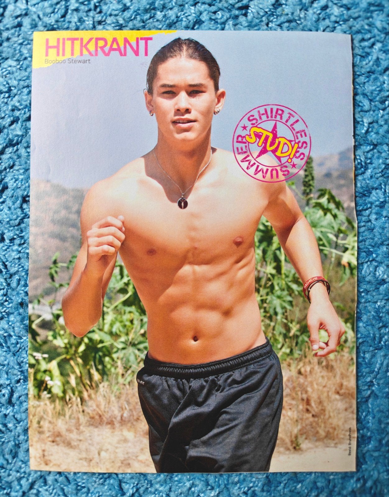 Booboo Stewart poster hitkrant, Rechthoekig Staand, A4 of kleiner, Nieuw, Ophalen of Verzenden