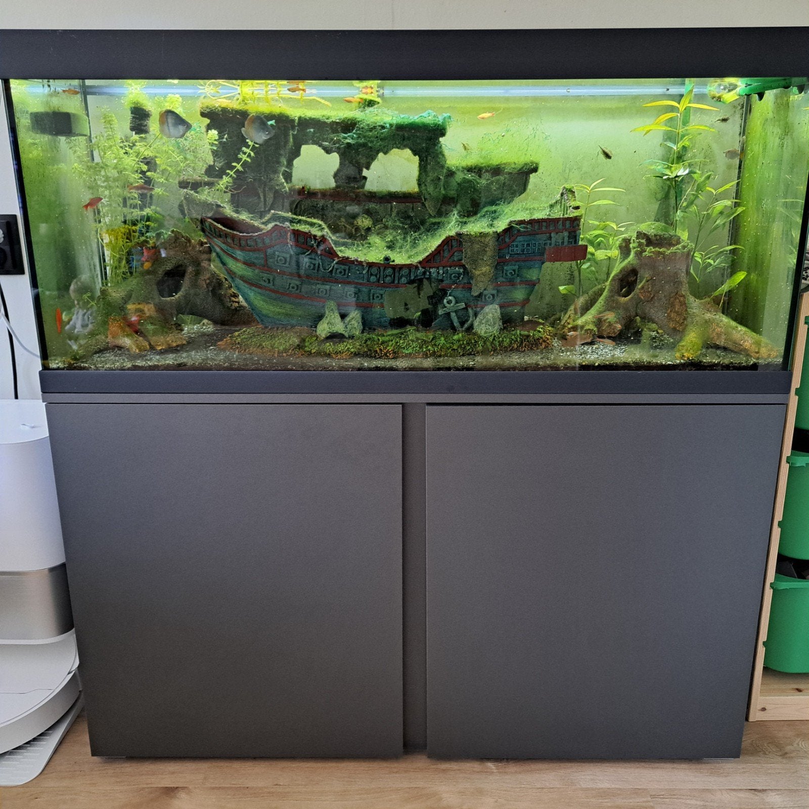 eheim aquarium met vissen en decoratie, Ophalen, Gebruikt, Inclusief vissen, Gevuld zoetwateraquarium
