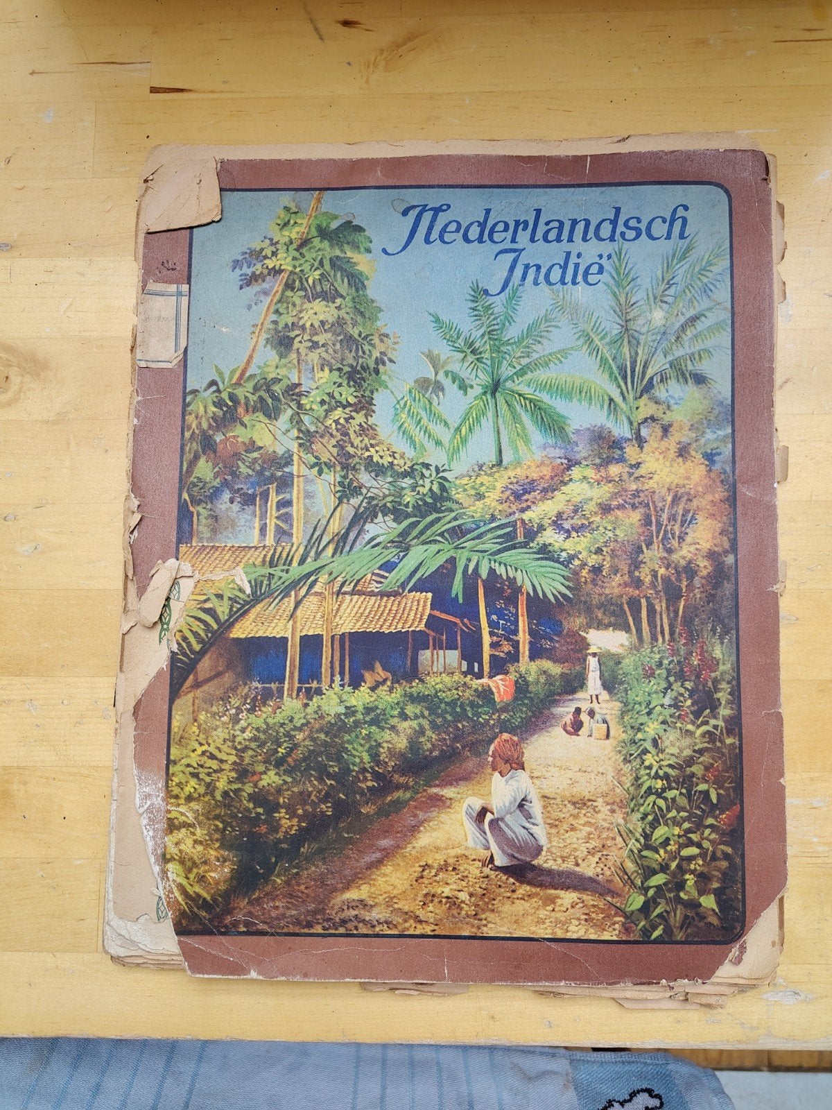 Niemeijers Plaatjesalbum Nederlands Indië, Ophalen, Gelezen