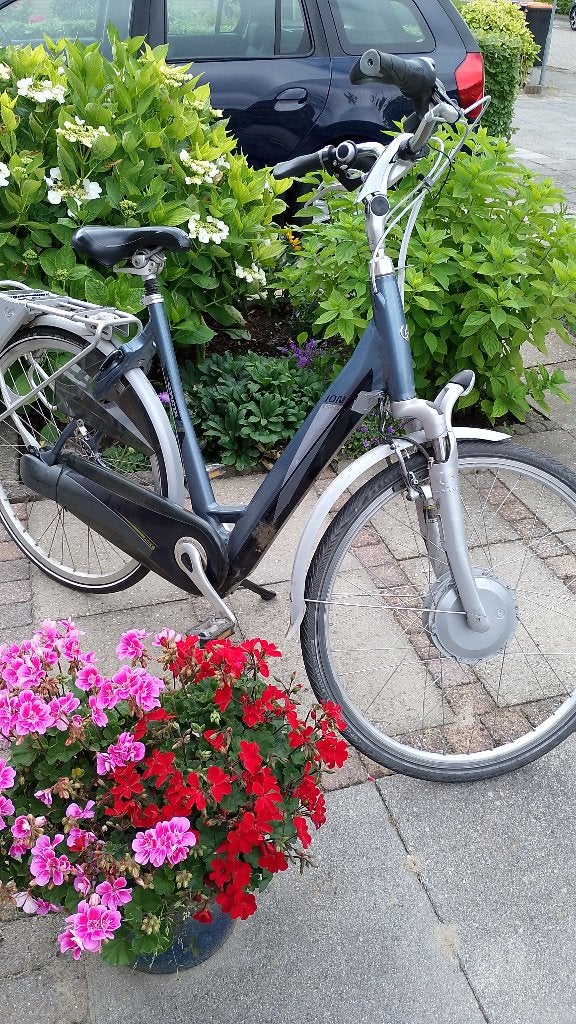 Ebike, Gebruikt, 51 tot 55 cm, 30 tot 50 km per accu, Ophalen