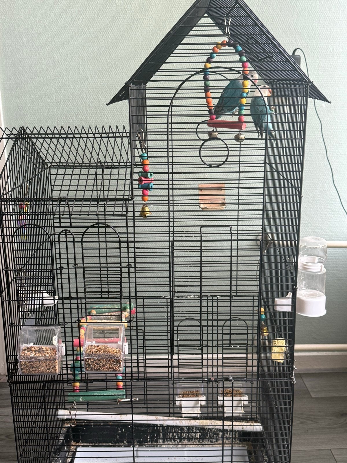 Vogels met kooi, Ophalen of Verzenden
