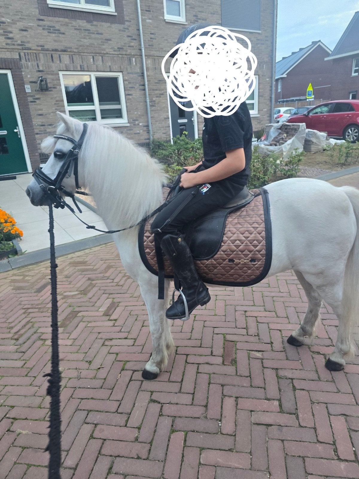 Lieve allround kinderpony!, Dieren en Toebehoren, Gechipt, Ruin, Zadelmak, A pony (tot 1.17m)