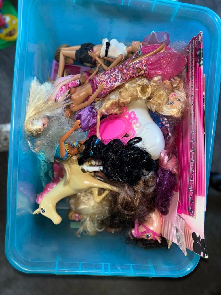 Barbie poppen, paarden, kleding en accessoires, Ophalen, Gebruikt, Barbie