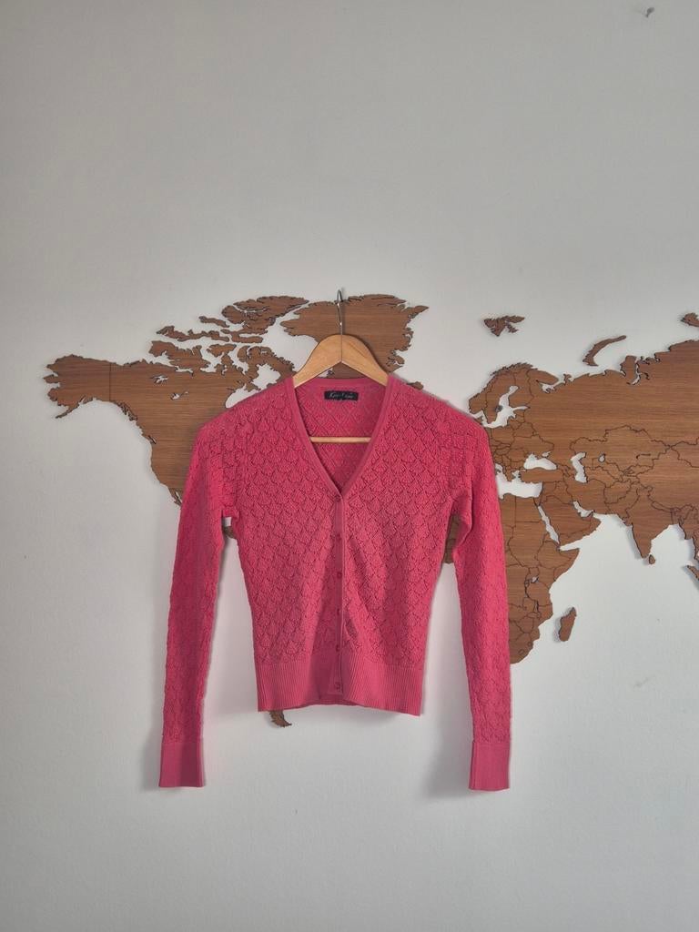 King Louie vestje maat S, Kleding | Dames, Truien en Vesten, Ophalen of Verzenden, Maat 36 (S), Gedragen, King Louie