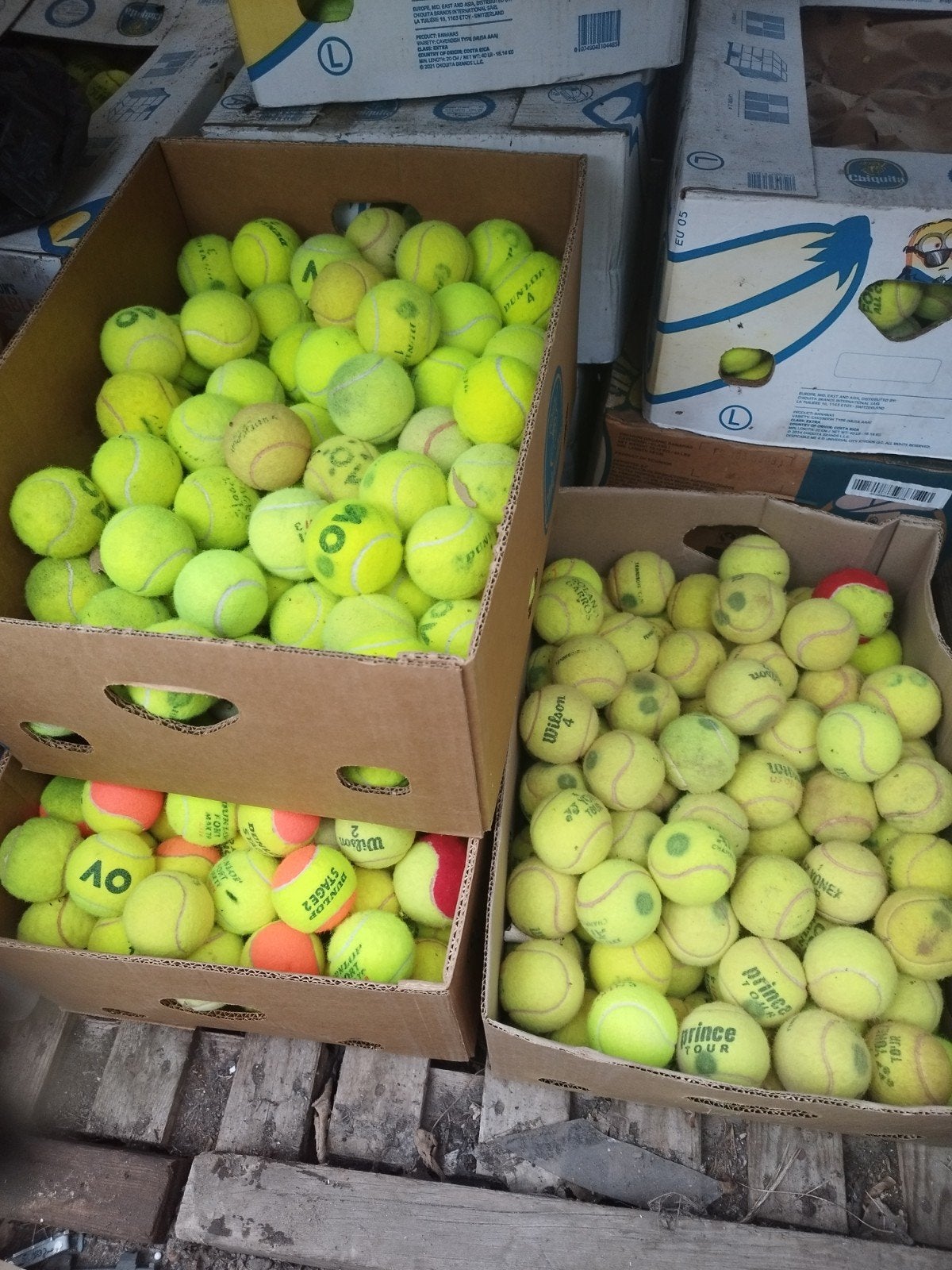 Merk tennisballen Slazenger Wilson Dunlop bijv 50st €9,50!!!, Ophalen of Verzenden, NVT, NVT, NVT