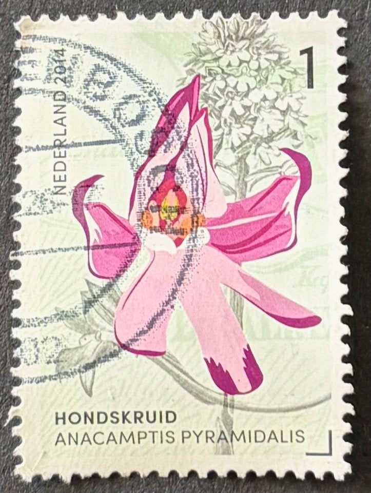 Postzegel Nederland Hondskruid (wilde orchidee) Gerendal, Ophalen of Verzenden, Na 1940, Gestempeld