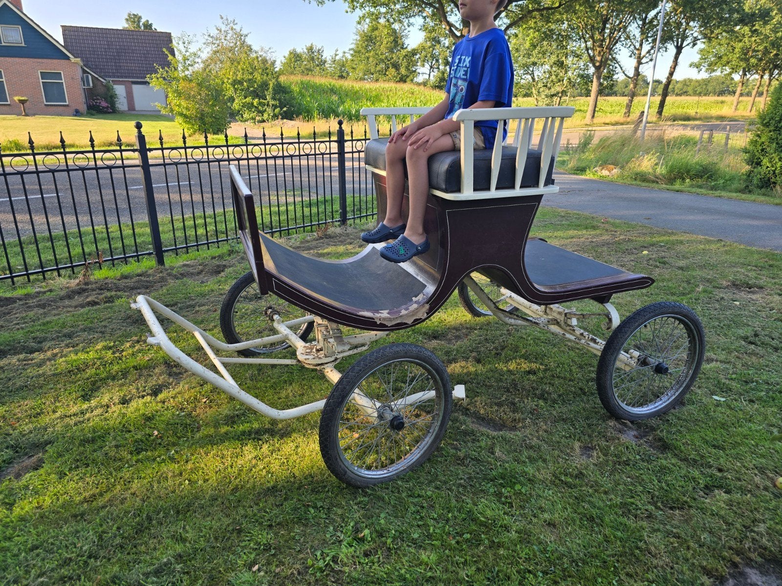 Rijtuig, sulky, menwagen, koets, concourswagen, Gebruikt, Overige typen, Paard of Pony