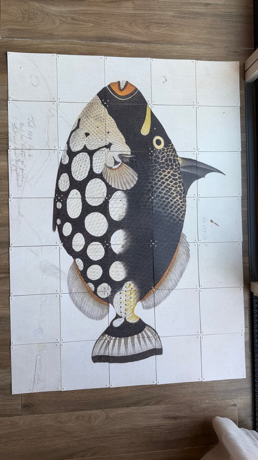 Ixxi Black fish visprint op tegels - Decoratieve kunst, Huis en Inrichting, Ophalen of Verzenden, Zo goed als nieuw, 125 cm of meer
