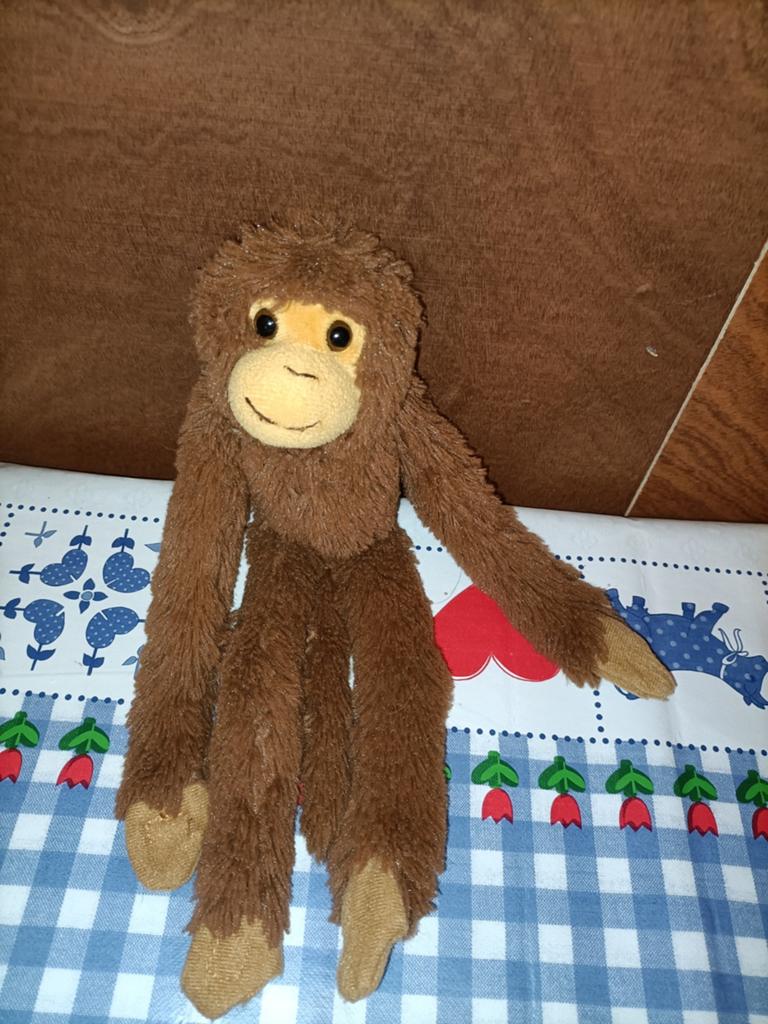 Wildlands Adventure Zoo Emmen aap knuffel 30 cm, Ophalen of Verzenden, Zo goed als nieuw, Overige typen