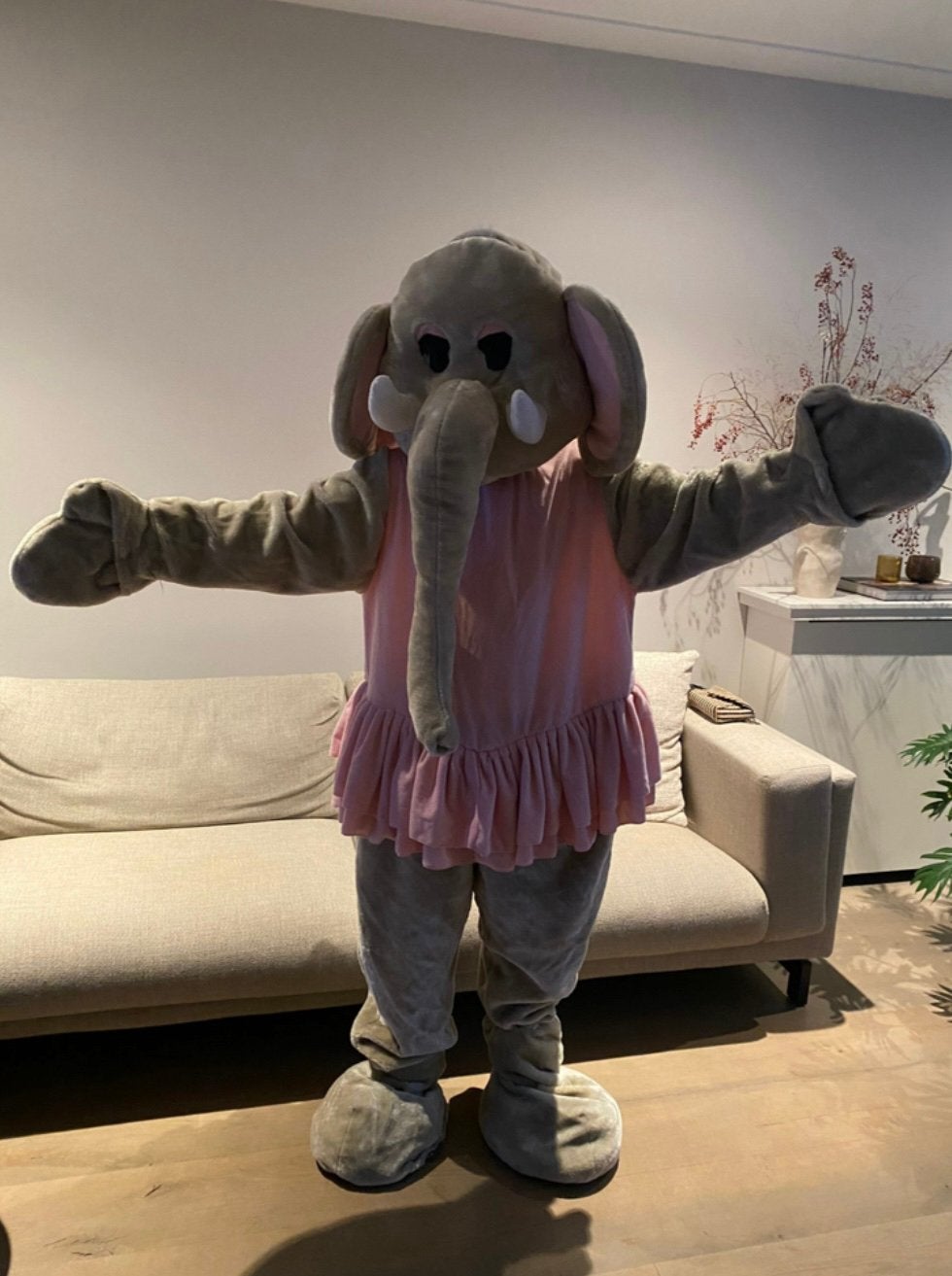 Olifant mascotte pak met roze jurk |Carnaval/feest/evenement, Ophalen, Gedragen, Overige maten, Kleding