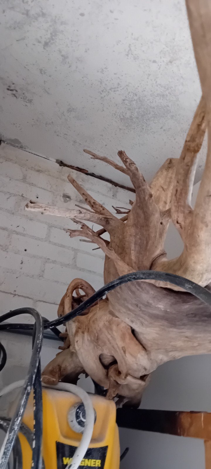 Drijfhout 2 stukken, Dieren en Toebehoren, Ophalen of Verzenden, Plant(en), Steen of Hout