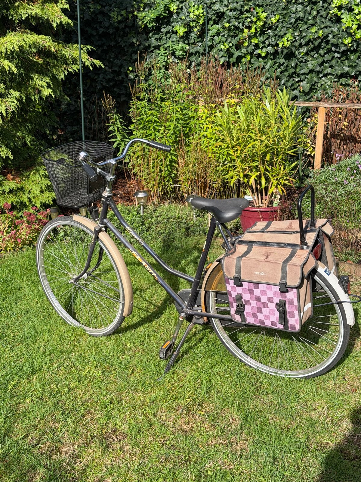 Damesfiets met mand en fietstassen, Terugtraprem, Ophalen, Overige merken, 53 tot 56 cm
