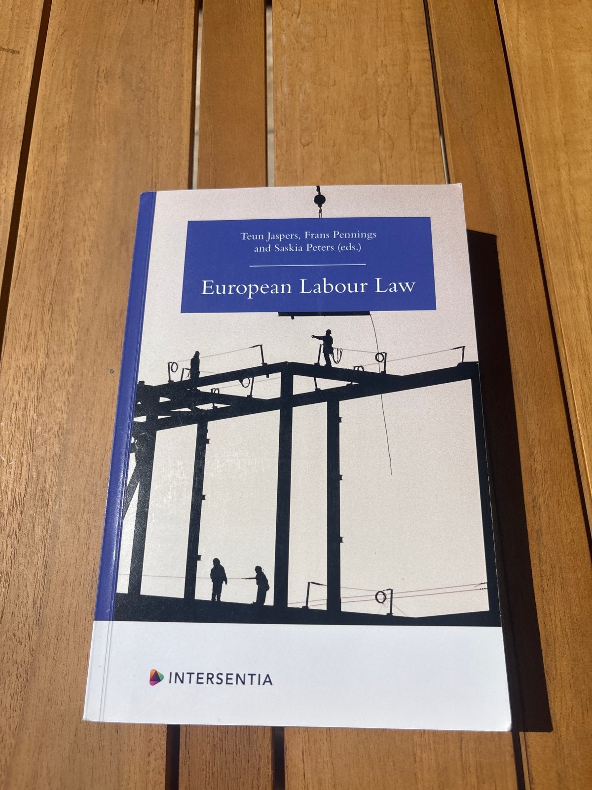 European Labour Law - Teun Jaspers, Frans Pennings, Boeken, Ophalen of Verzenden, Alpha, Zo goed als nieuw, WO