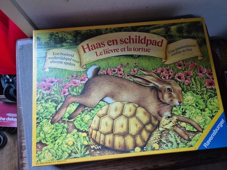 Haas en schildpad, Ophalen of Verzenden, Zo goed als nieuw, Ravensburger