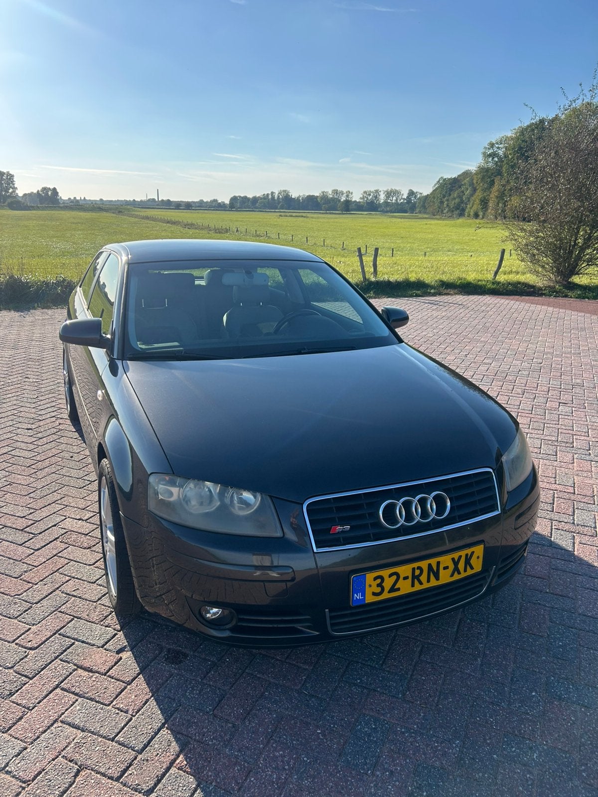Audi A3 8p 2.0 fsi 2005 Grijs, Voorwielaandrijving, 4 cilinders, Overige bekleding, Handgeschakeld
