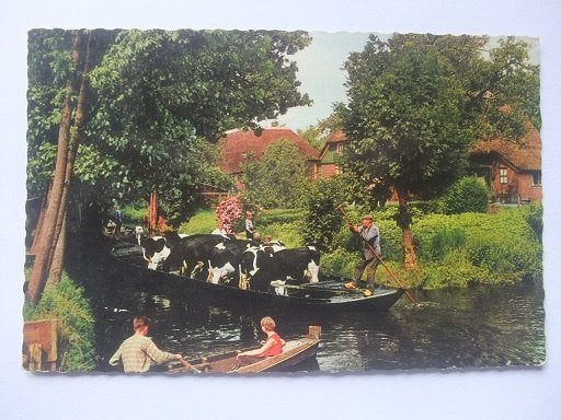 Q40 Giethoorn - Boot met koeien, Verzenden, 1960 tot 1980, Gelopen, Overijssel
