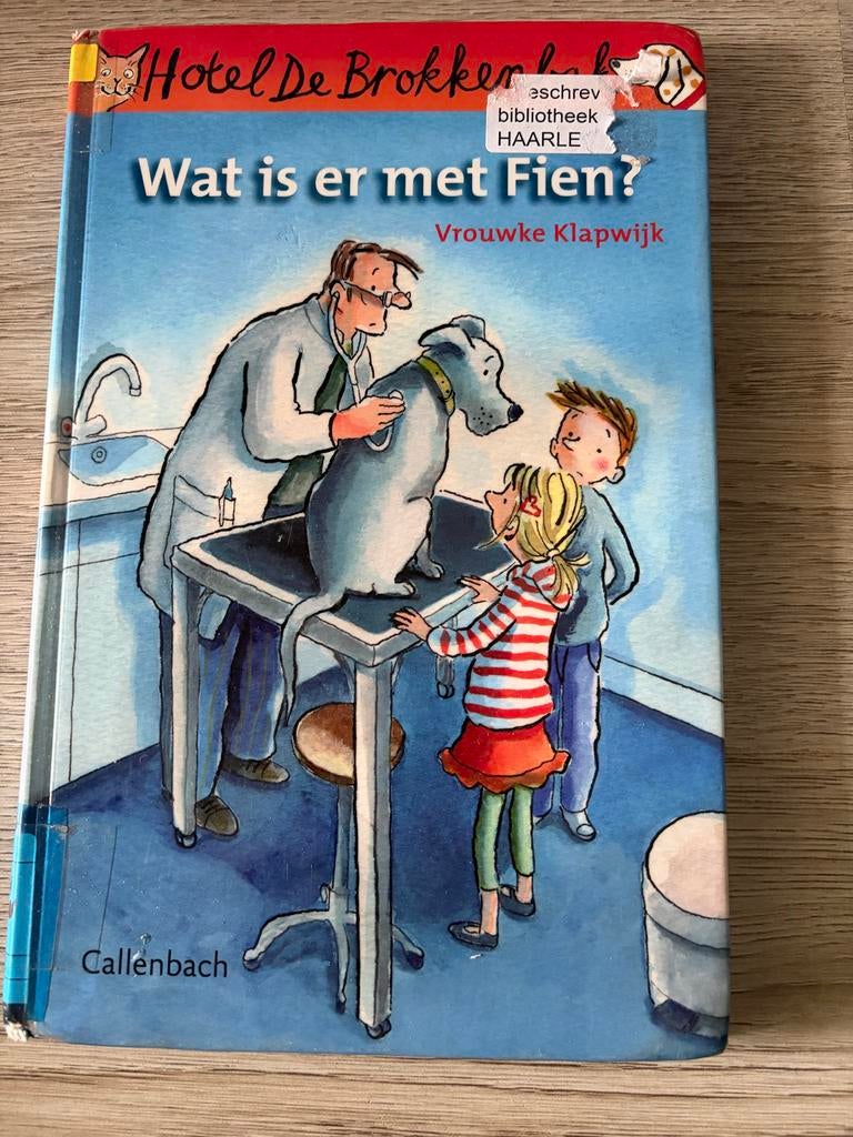 Kinderboek: Wat is er met Fien? - Vrouwke Klapwijk, Boeken, Kinderboeken | Jeugd | onder 10 jaar, Ophalen of Verzenden, Gelezen