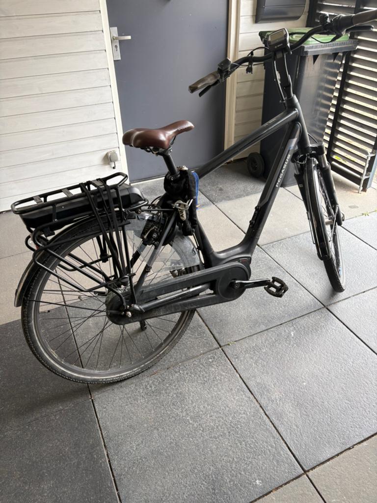 Pegasus Siena E8F, Gebruikt, 50 km per accu of meer, 55 tot 59 cm, Ophalen