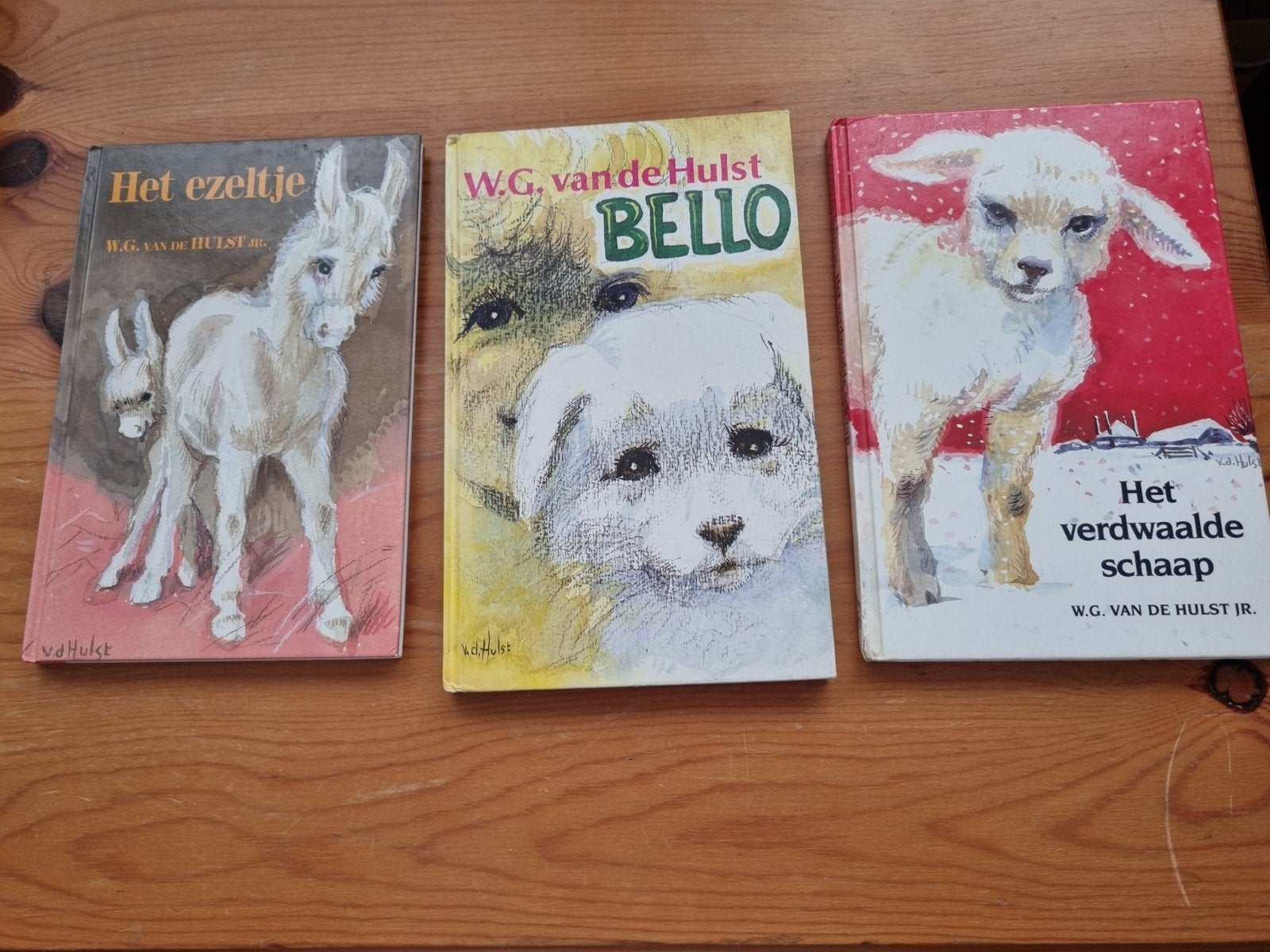 3 boekjes van W.G van de Hulst, Boeken, Ophalen of Verzenden, Gelezen, Fictie algemeen