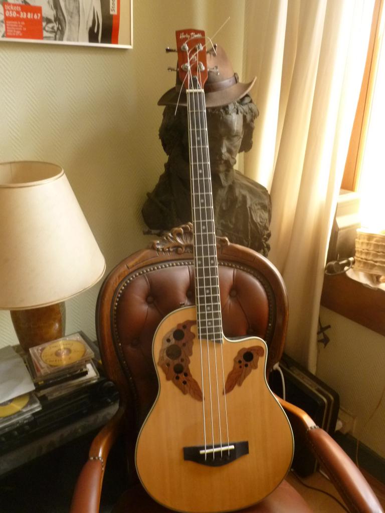 Harley Benton semi acoustic bass -Long scale, Ophalen, Zo goed als nieuw, Semi-akoestisch