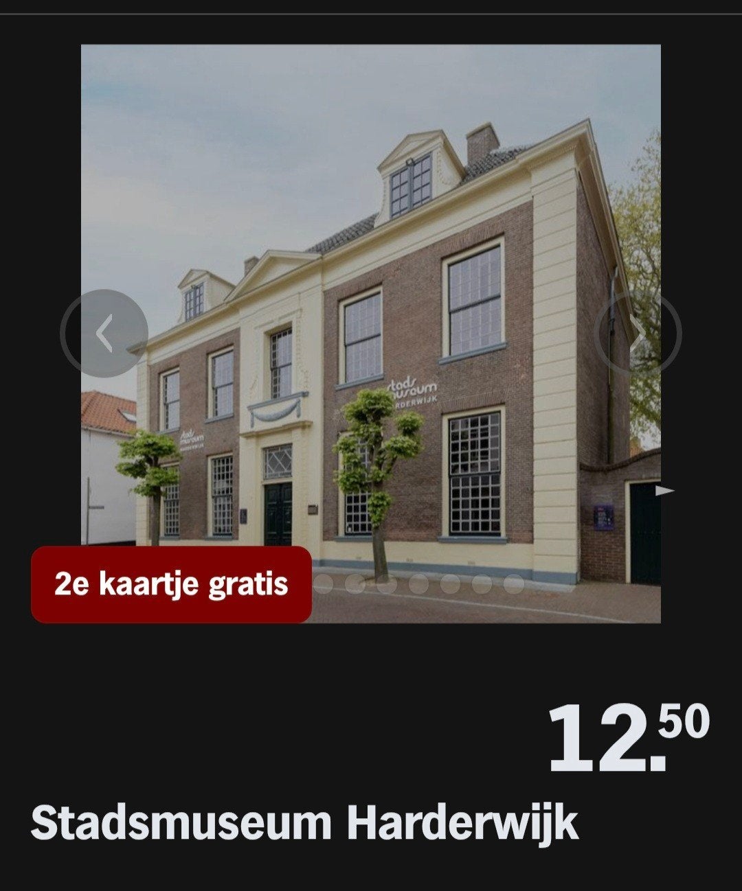 STADSMUSEUM HARDERWIJK ♡ 2e kaartje gratis (AH SPAARKAARTEN, Overige typen