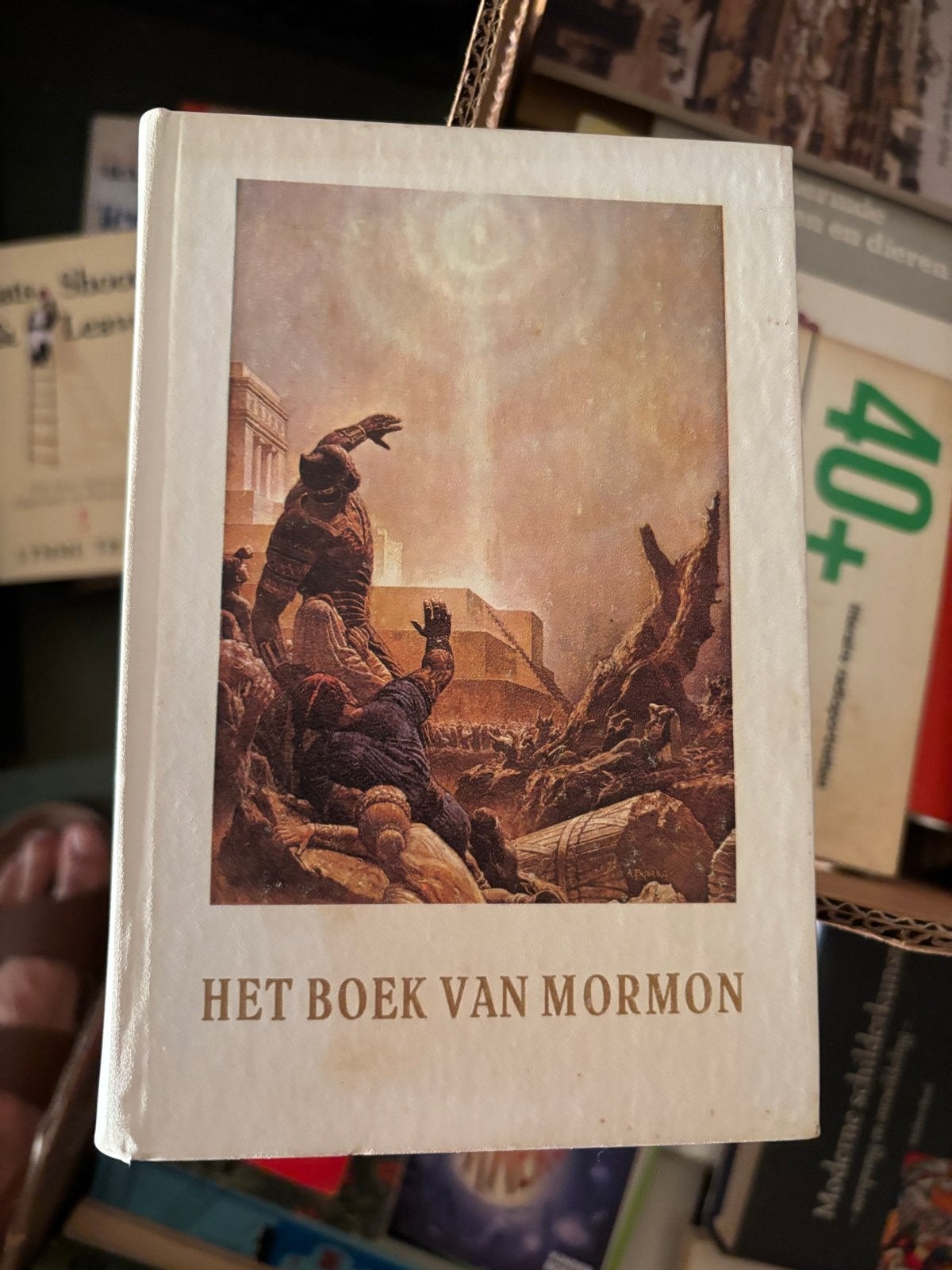 Het Boek van Mormon - Religieus Geschrift, Ophalen of Verzenden, Gelezen, Overige religies