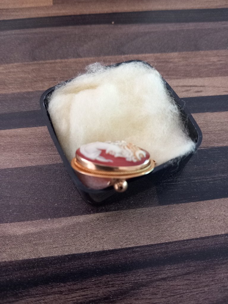Camee speld 14 k goud, Sieraden, Tassen en Uiterlijk, Antieke sieraden, Ophalen of Verzenden, Goud, Hanger