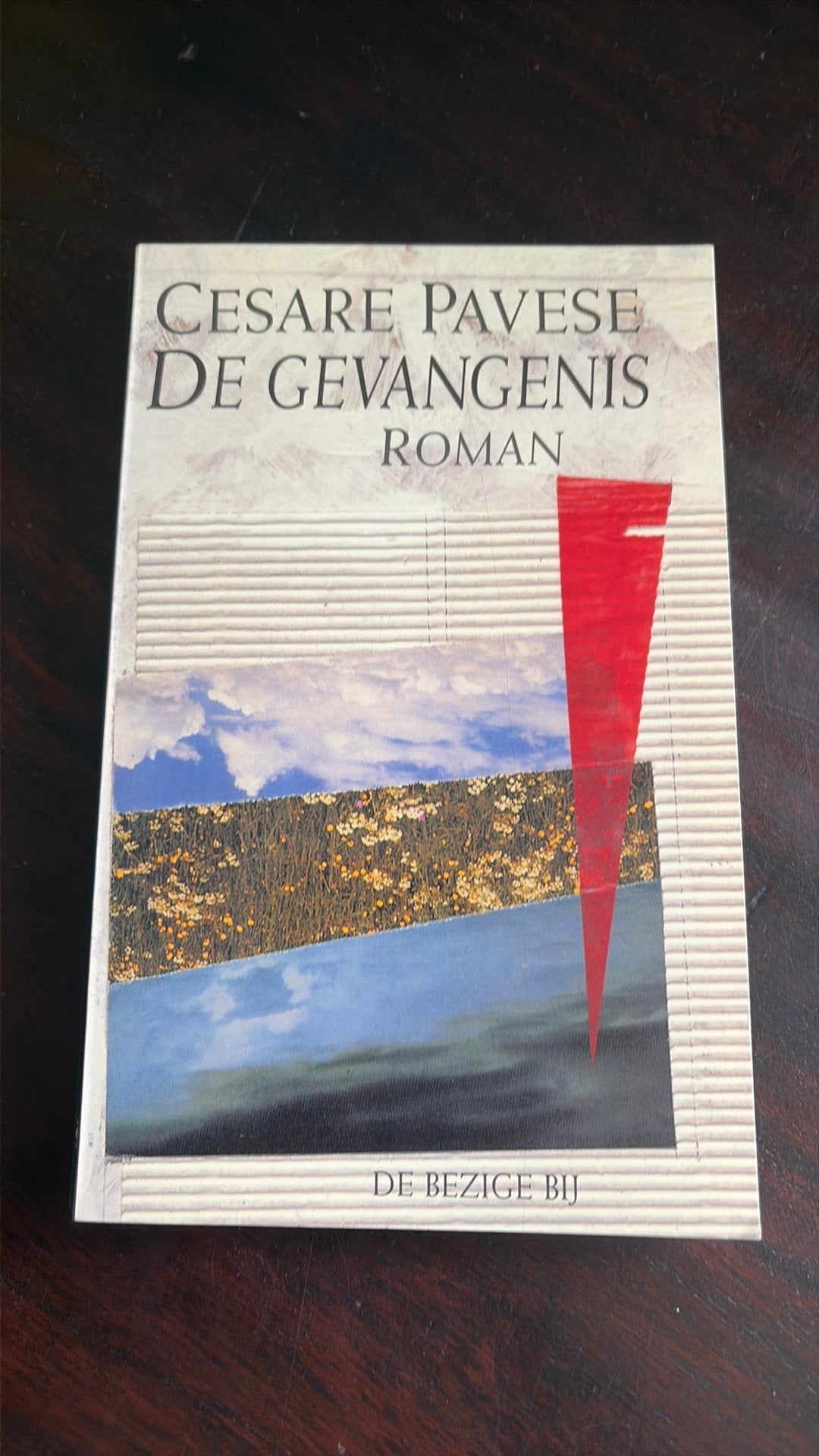 De Gevangenis - Cesare Pavese, Boeken, Gelezen, Europa overig, Ophalen of Verzenden, Cesare Pavese