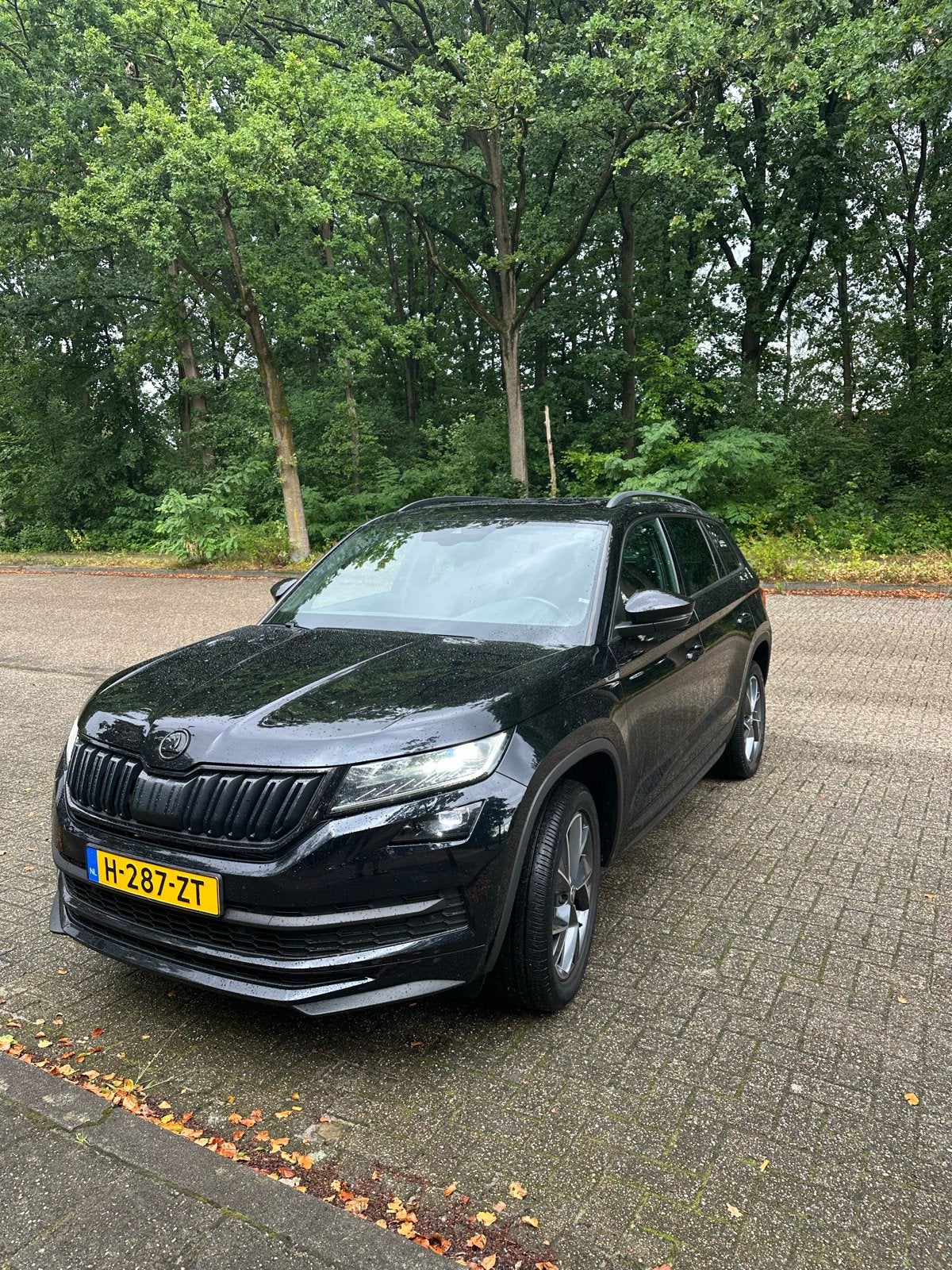 Skoda Kodiaq 1.5 TSI Sportline ACT 150pk Dsg-7 7zits, Auto's, Skoda, Zwart, 4 cilinders, Zwart, Origineel Nederlands