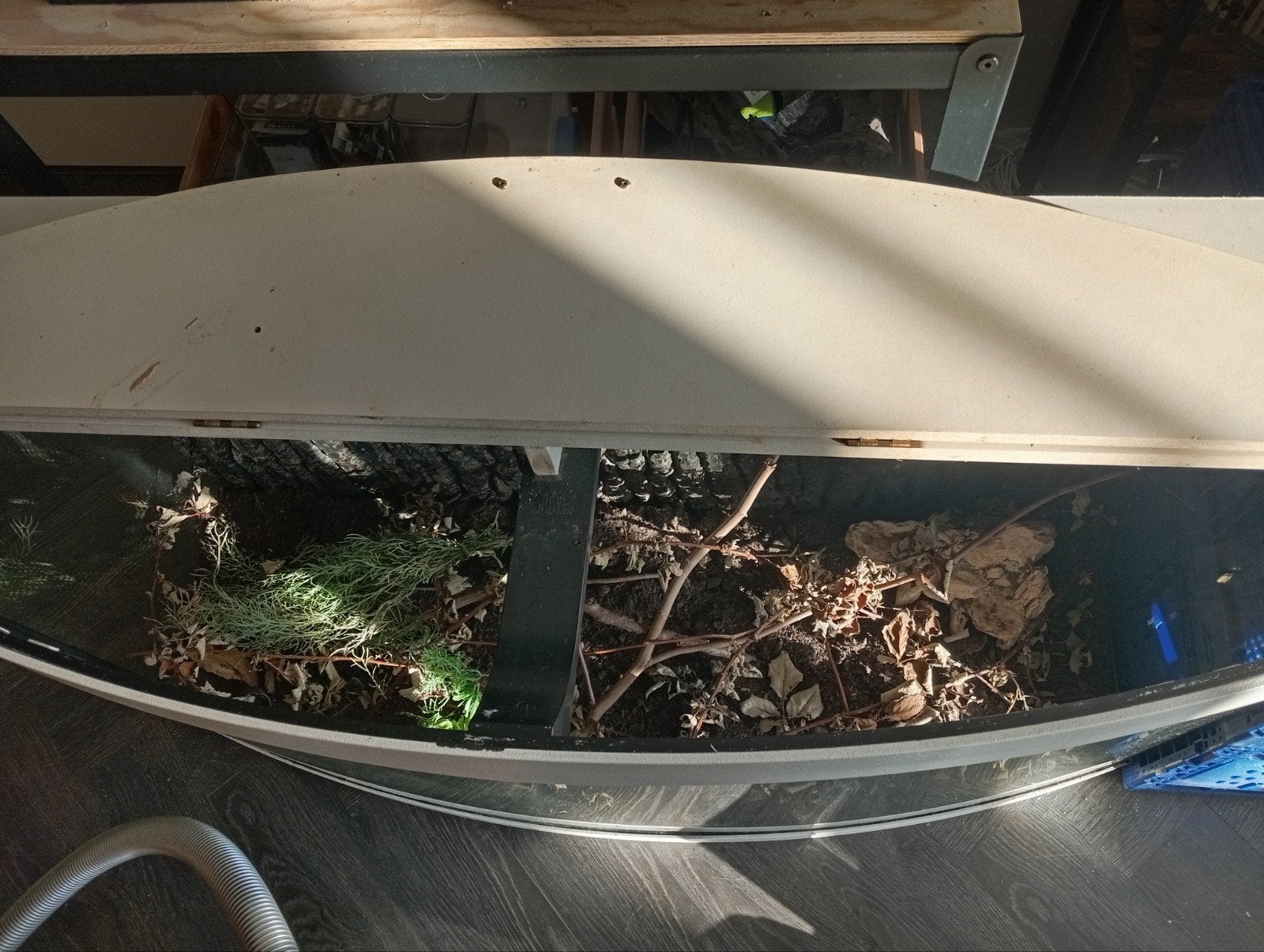 terrarium, Ophalen, Inclusief deksel, Zo goed als nieuw, Leeg aquarium
