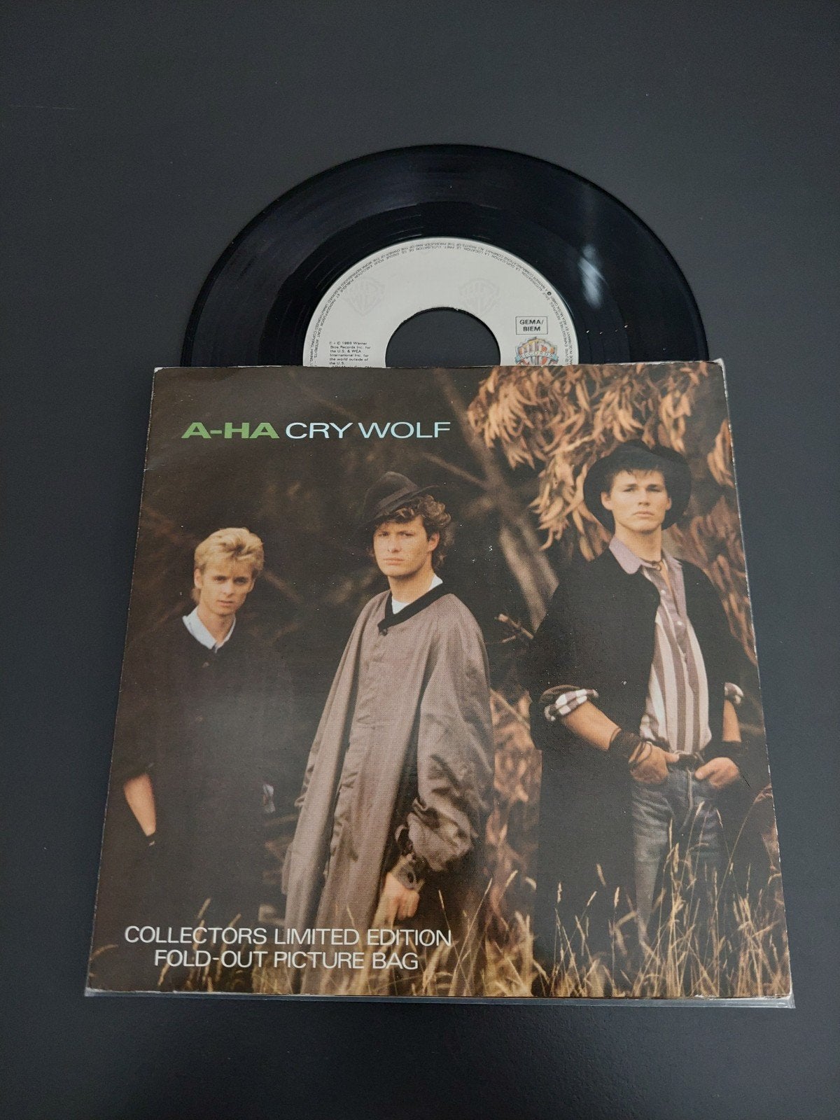 A-ha cry wolf  ( posterhoes), Cd's en Dvd's, Vinyl Singles, Ophalen of Verzenden, Gebruikt, 7 inch