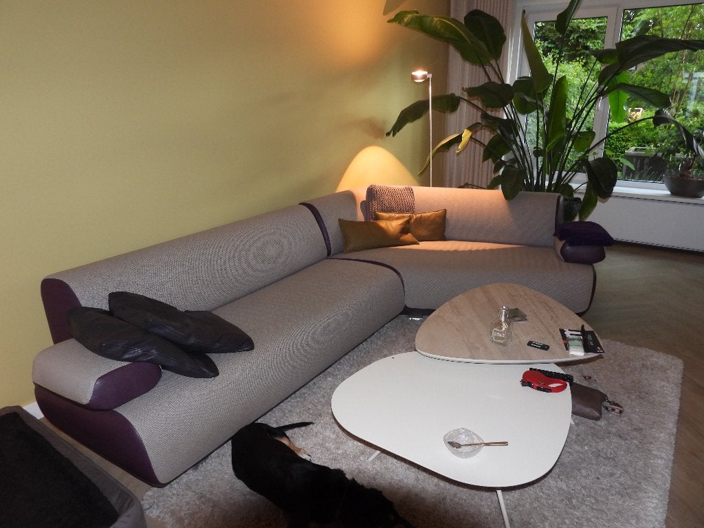 Leolux bank, Huis en Inrichting, Banken | Sofa's en Chaises Longues, Ophalen, Gebruikt, 300 cm of meer, 75 tot 100 cm