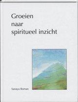 Sanaya Roman Groeien naar spiritueel inzicht, Boeken, Ophalen of Verzenden, Nieuw, Spiritualiteit algemeen, Achtergrond en Informatie