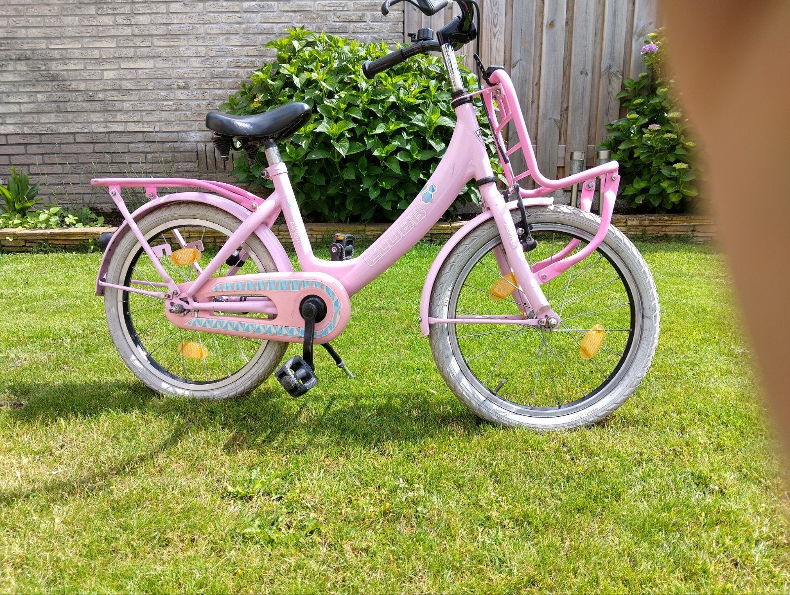 Roze Alpina Clubb meisjesfiets, Fietsen en Brommers, Fietsen | Meisjes, Ophalen, Terugtraprem, Alpina Clubb, Gebruikt