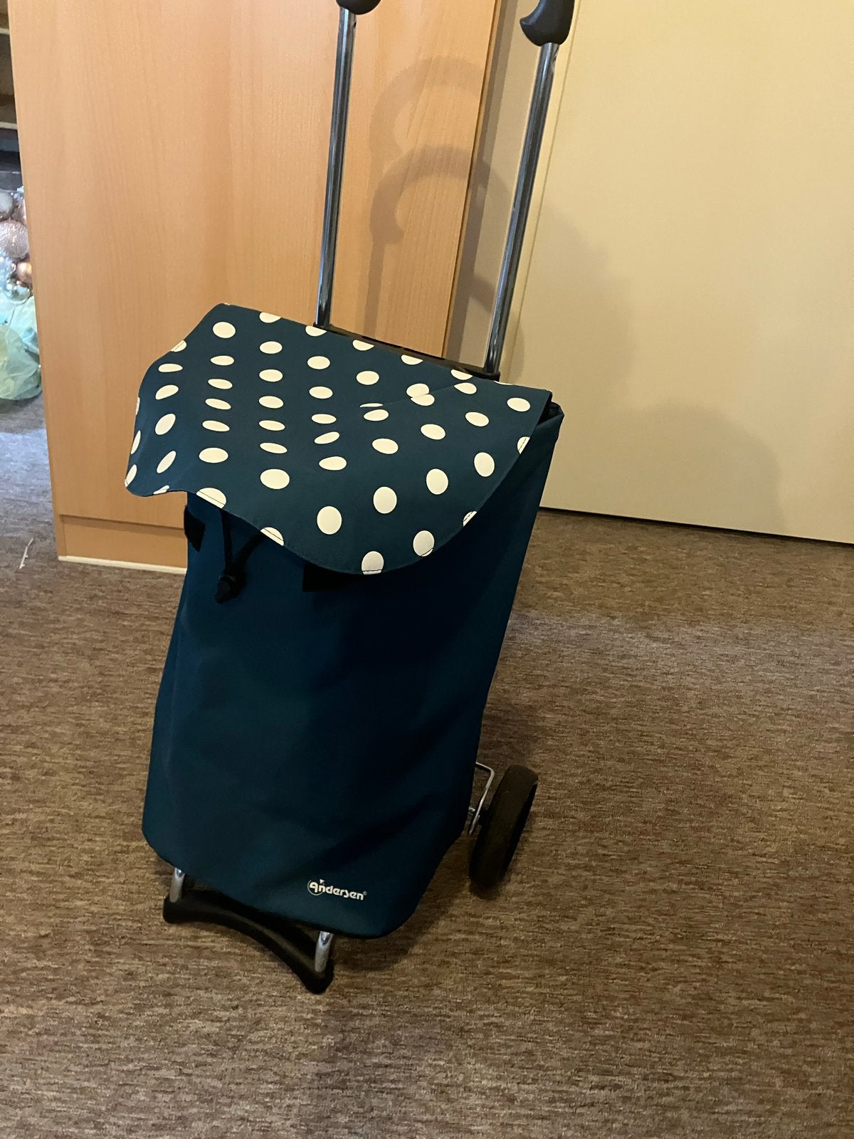 Boodschappen trolley, Ophalen, Zo goed als nieuw, 30 cm of meer
