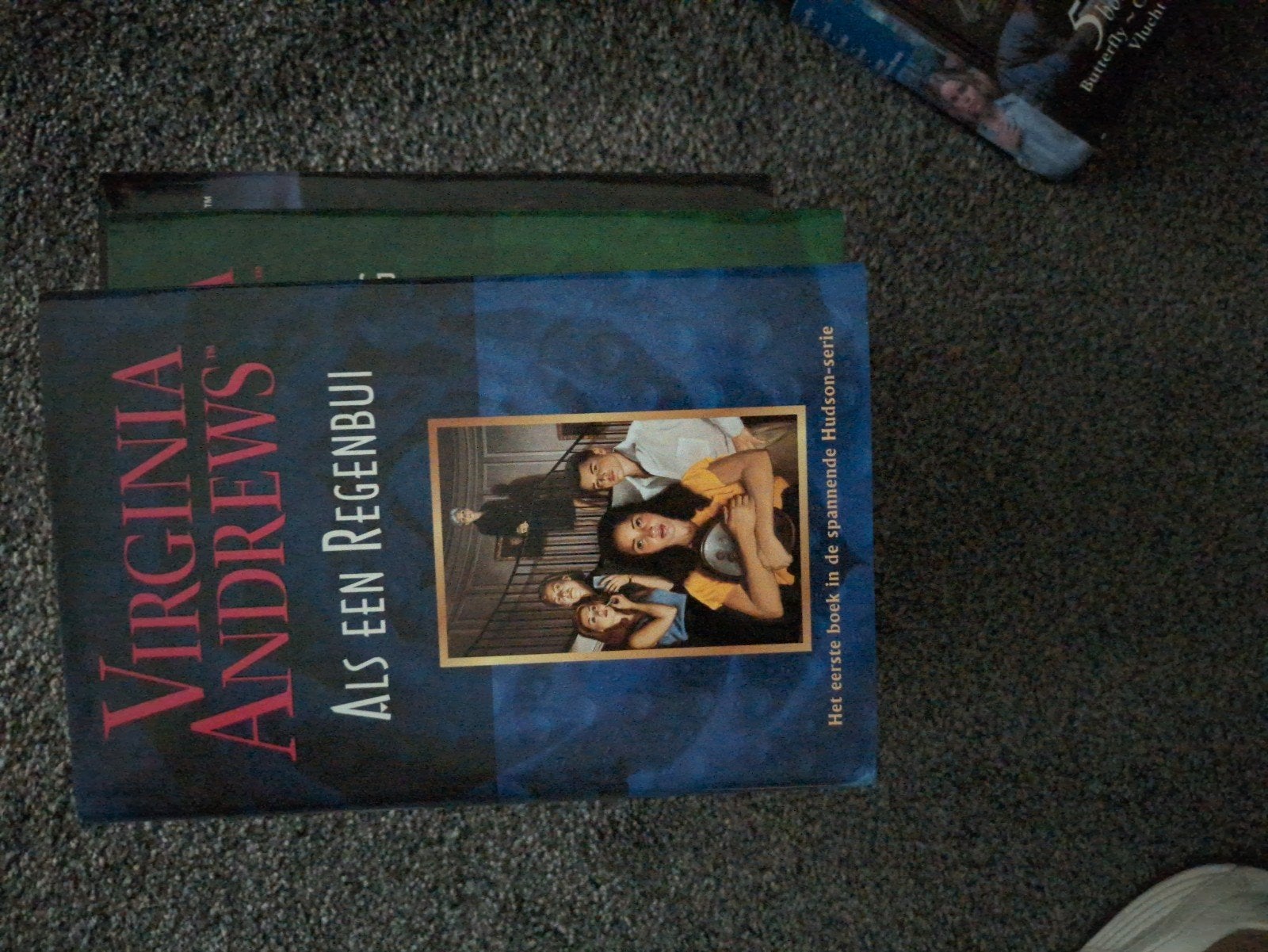 Als Een Regenhui - Virginia Andrews (Hudson-serie), Boeken, Ophalen of Verzenden, Gelezen, Virginia Andrews, Nederland