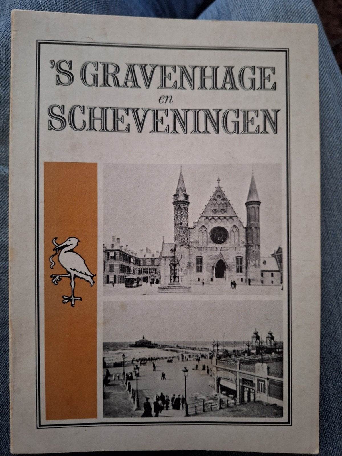 Boek 's Gravenhage en Scheveningen - Geschiedenis, Boeken, Ophalen of Verzenden, 20e eeuw of later, Gelezen, Onbekend
