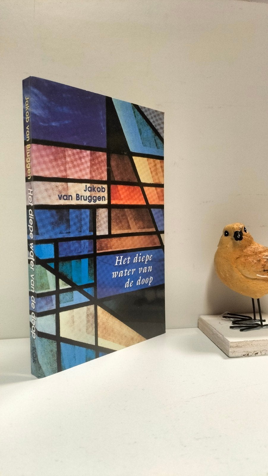 Bruggen, Jakob van; Het diepe water van de doop, Boeken, Ophalen of Verzenden, Gelezen, Christendom | Protestants