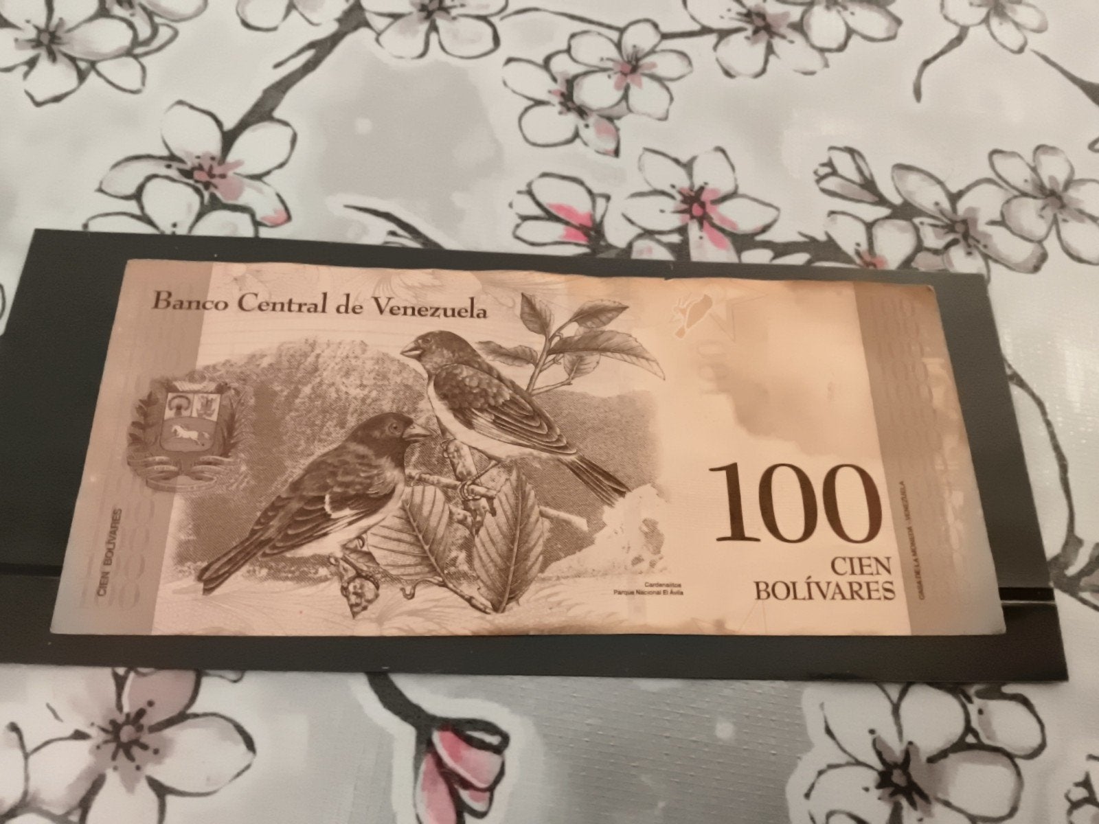 Venezuela 100 Bolívares biljet - Simón Bolívar, Ophalen of Verzenden, Los biljet