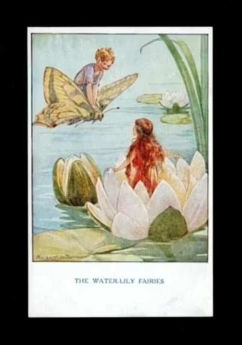 Elfen Vlinder Waterlelie Fairies door Margaret Tarrant., Verzamelen, Ansichtkaarten | Themakaarten, Ophalen of Verzenden, 1920 tot 1940