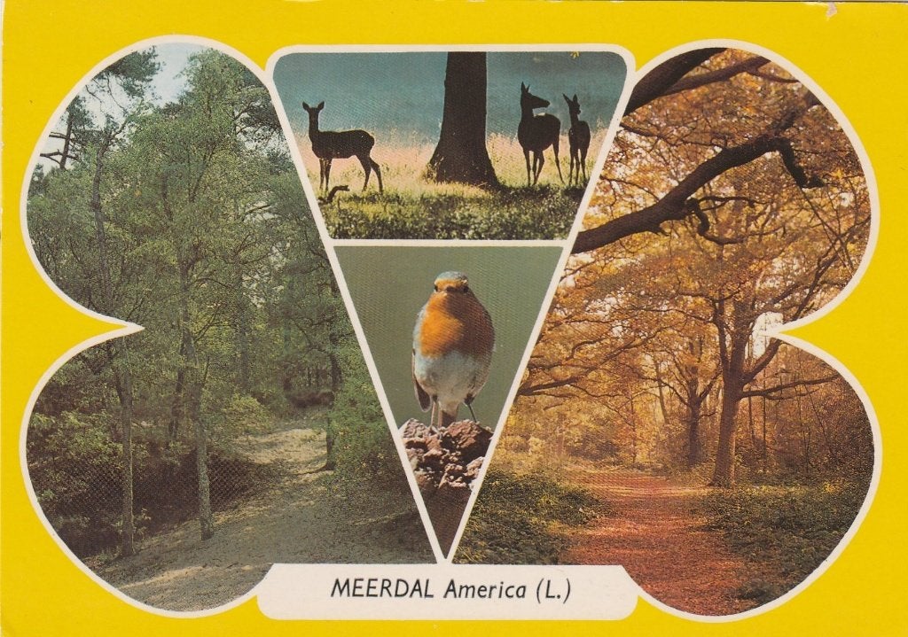 AMERICA Meerdal, Verzenden, 1980 tot heden, Gelopen, Limburg