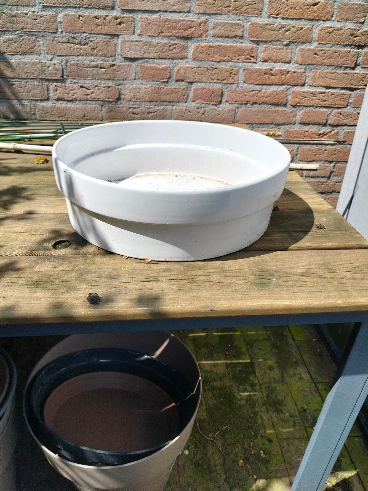 Grote bonsai pot, Ophalen of Verzenden, Rond, Minder dan 30 cm