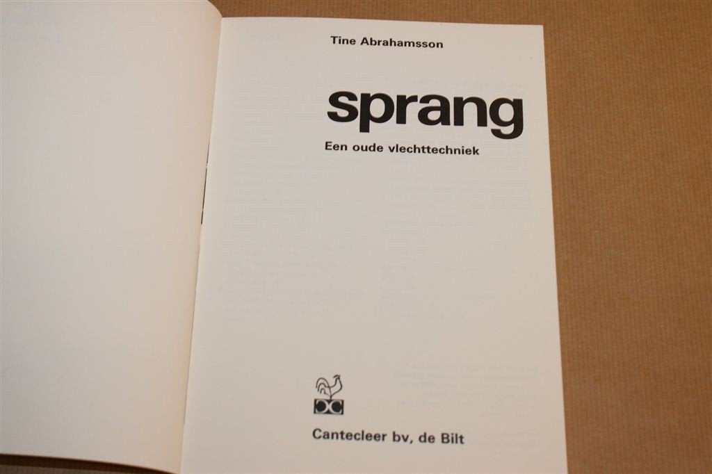 Sprang — Oude Vlechttechniek, Handleiding, Ophalen of Verzenden, Gelezen