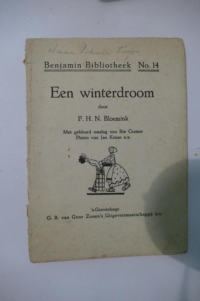 F.H.N. Bloemink - Een winterdroom, Ophalen of Verzenden, F.H.N. Bloemink